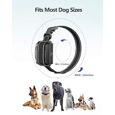 Buy Petdiary Dog Training Collar Shock Collar For Dogs With Remote Range Up To 3 000ft Rechargeable And Vibration Beep Shock And Night Light Modes For Small Medium And Large Dogs Online In