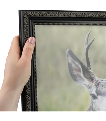 Amazon.com - Creative Mark Museum Plein Aire Ornate Picture