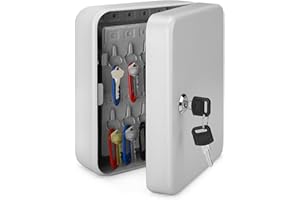 Flexzion Key Cabinet Key Lock Box Wall Mount with 40 Key Holder Organizer Locker Case, Colored Key Tags & Hooks Wall Mounted 