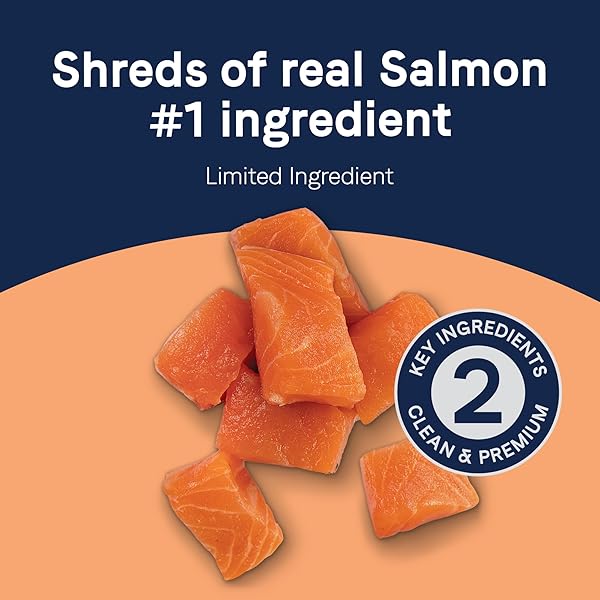 CANIDAE PURE PROTEIN TOPPER WET DOG FOOD – WILD-CAUGHT SALMON RECIPE IN GRAVY, 3 OZ. (CASE OF 12)