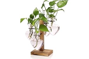 CYZGLASS Plants Propagation Stations Plant Terrarium Kit Glass Planters for Indoor Plants House Plant Accessories Gift for Women - 4 Love Bulb Vase