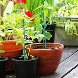KINGLAKE 60cm Bamboo Plant Support Sticks 30Pcs with Twist Ties view 4