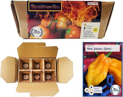 Amazon Com Peppers From Hell Seed Starter Kit Includes Non Gmo Heirloom Ghost Pepper Seeds And 6 Pack Coconut Coir Grow Kit By Sustainable Seed Company Ghost Peppers Garden Outdoor