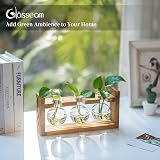 Glasseam Propagation Station 3 Pcs Glass Vase with Wooden Stand view 3