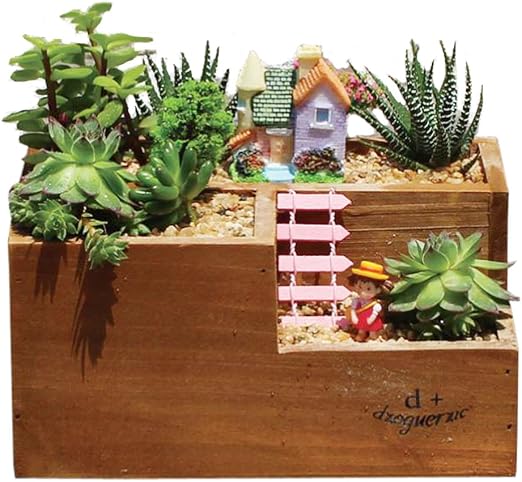 fittoway caja de madera macetero, de flores suculentas maceta ...