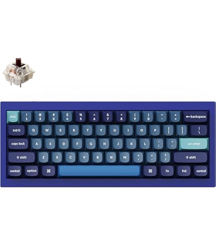 Amazon.com: Keychron Q4 Wired Custom Mechanical Keyboard, 60