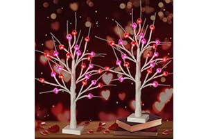 TIYIVIRI 24 Inch Valentine's Day Tree Decorations Tabletop Lighted Birch Tree with 24 Red Pink Heart LED Lights, Battery Operated with Timer Valentines Tree for Home Indoor Party Wedding Decor (2Pack)