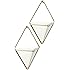 Umbra Trigg Hanging Planter Vase & Geometric Wall Decor Container - Great For Succulent Plants, Air Plant, Mini Cactus, Faux Plants and More, White Ceramic/Brass (Set of 2)