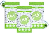 PUR Gum Sugar Free Xylitol Mint Chewing Gum Vegan Keto 55 Pieces Pack of 3