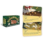 Forest Friends: Positive inspiration from the animal kingdom (Rockpool Mini Cards)