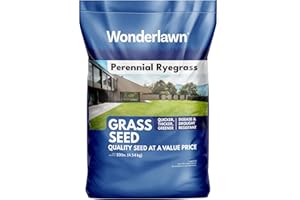 Barenbrug Wonderlawn Perennial Ryegrass Grass Seed for Southern Lawns, Fast-Acting Durable Grass Seed Mix for All Weather Conditions, 10-lb. Bag