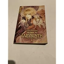 セール中【希少！】A Journey Through Labyrinths … Return to Labyrinth: v. 1 | Amazon.com.br