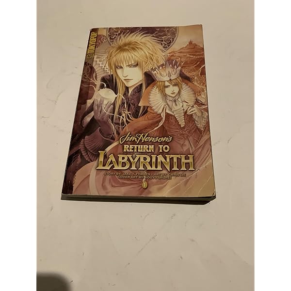 Amazon.com: Return to Labyrinth Volume 2: 9781598167269: Jake T