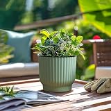 T4U 15cm Self Watering Plant Pots Indoor 6 Pack Green Plastic Flower Pots view 6