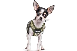 Tacwild No Pull Dog Harness - Adjustable Reflective Dog Vest with Metal Snap, Soft Breathable Mesh No Choke Puppy Harness, Easy to Put on & Take Off (Green-S)