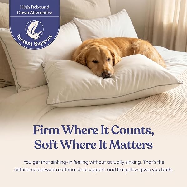 FLUFFCO ZEN FLUFF™ DOWN ALTERNATIVE BED PILLOW – LUXURY HOTEL QUALITY – 300 TC COTTON SHELL – PILLOWS FOR SIDE, BACK, AND STOMACH SLEEPERS – MADE IN USA – STANDARD/QUEEN SIZE 20″ X 28″, 1-PACK, SOFT