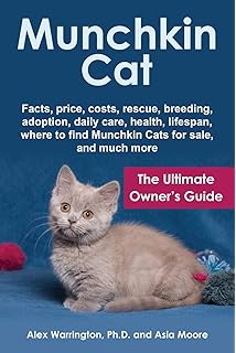 Munchkin Cats And The Munchkin Cat Your Munchkin Cats Bible