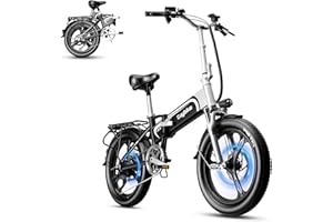 AULOOR Folding Electric Bike for Adults, 750W Motor(1000W Peak),30MPH, 60Mile,48V 12.8AH/15AH/20AH Battery,20" Fat Tire Foldable Electric Bicycle,Commuter Beach Snow E-Bikes,7-Speed…