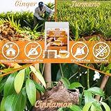 ULTHMOK Premium Turmeric Ginger Cinnamon Tea Bags 100% Natural view 4