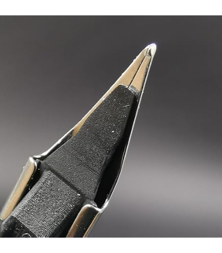 Amazon.com : Lamy 1227752 Nib Gold Medium : Office Products