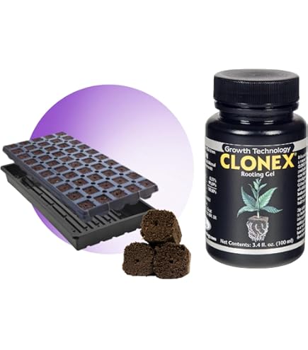 Amazon.com : Clonex Rooting Gel 100ml + Root Riot Plugs 50 Pack +