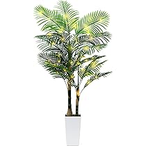 Amazon.com: 6ft Artificial Golden Cane Palm Tree with LED