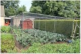 Gardening Naturally Black Butterfly Netting 2m x 5m Garden Netting view 8