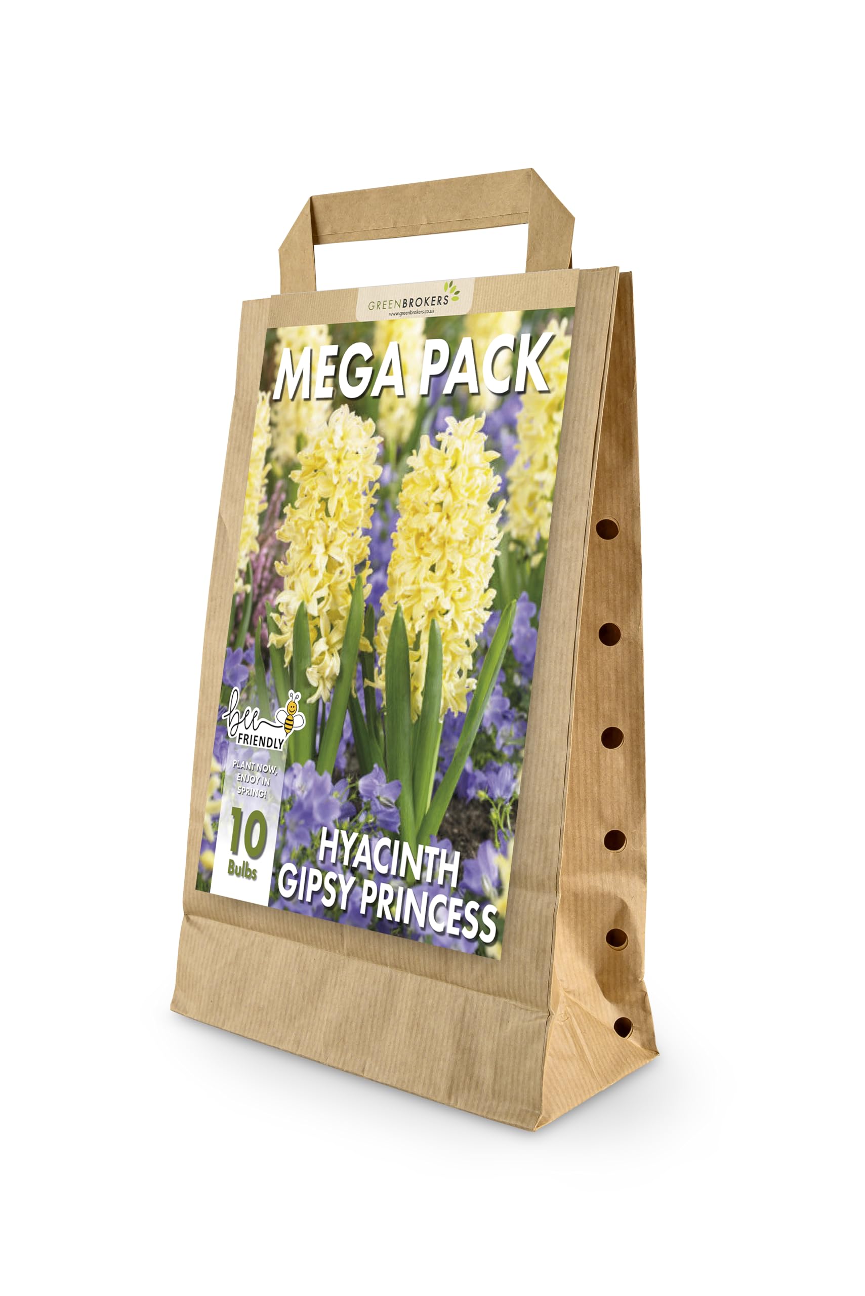 GreenBrokers Hyacinth Spring Flower Bulbs - Gipsy Princess Yellow