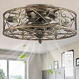 SHLUCE 18.5" Farmhouse Caged Ceiling Fan with