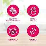 Fabulosa 4 in 1 Antibacterial Cleaner Winter Angel 220ml Pack of 12 view 3