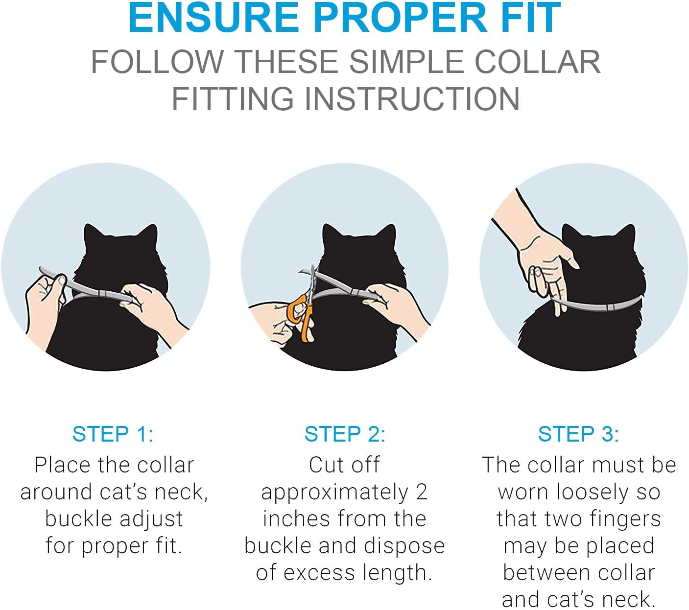 fitting a cat collar