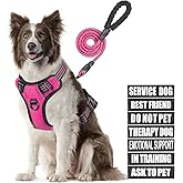 Service Dog Vest Harness And Leash Set, Animire In Training Dog Harness With 10 Dog Patches, Reflective Dog Leash With Soft Padded Handle For Small, Medium, Large, And Extra-Large Dogs