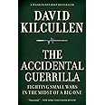 The Accidental Guerrilla: Fighting Small Wars in the Midst of a Big One
