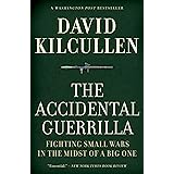 The Accidental Guerrilla: Fighting Small Wars in the Midst of a Big One