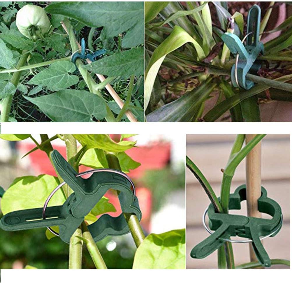 TIMESETL 100PCS Clips para Plantas de jardín (tamaño 2), Clips ...