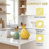 TOYANDONA 2pcs Easter Bunny Ceramic Figurines Car Interior Table Decor view 7