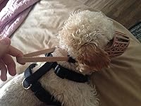 Review Image by Bailey B.