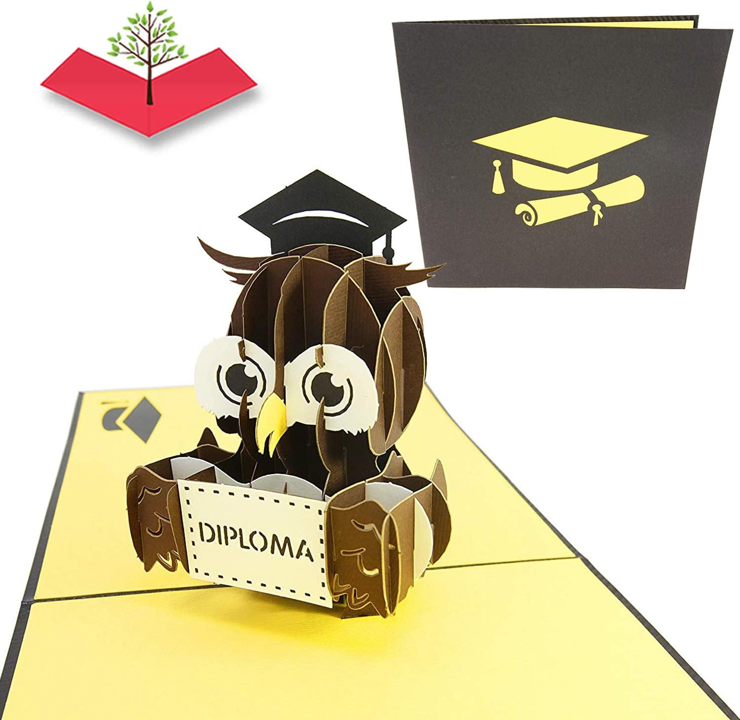 PopLife Graduation Diploma Owl 3D Pop Up Card, 3D Card – Gift for ...