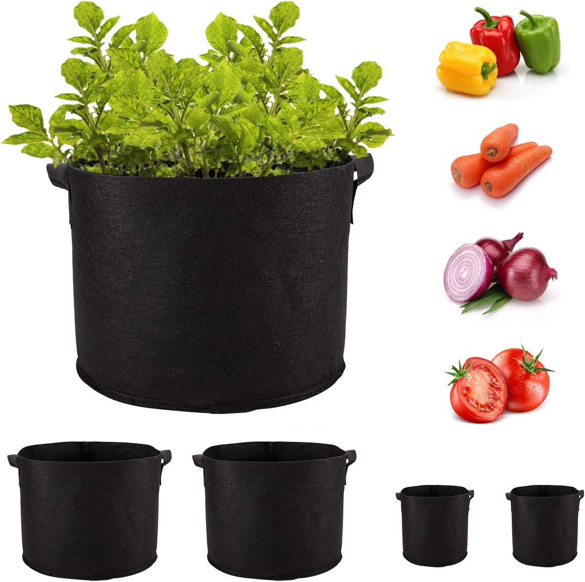 ANPHSIN Potato Grow Bags 2 Gallon/ 10 Gallon 4 Pack Aeration Tomato