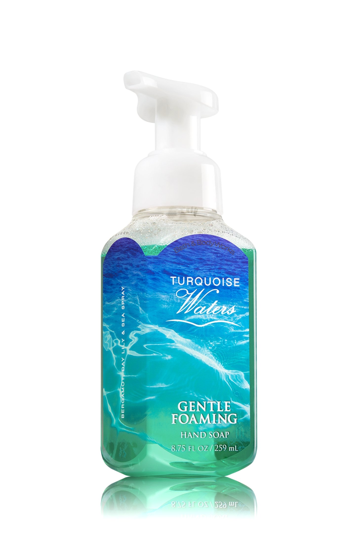 Bath & Body Works Deep Cleansing Hand Soap Turquoise