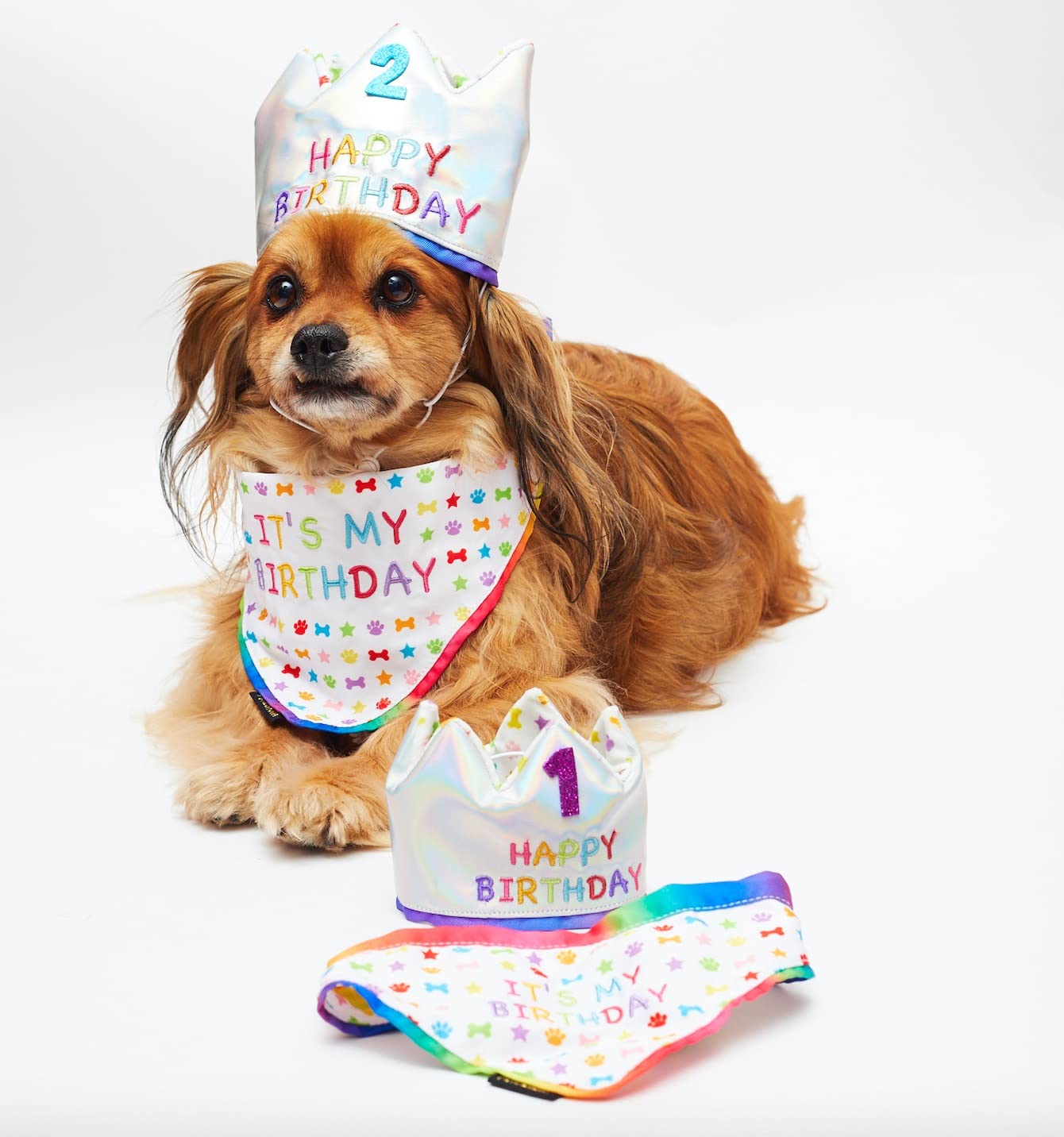 PET LONDON Dog Birthday Luxury Set Holographic Party CROWN Hat & matching BANDANA. ADD ANY AGE – Glitter No’s (20Pcs) Rainbow Embroidered BOY or GIRL Bday or Adoption Gift Celebration