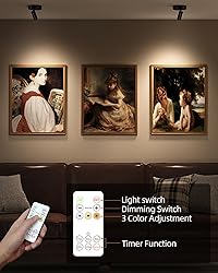 EZVALO Spotlights Indoor with Remote,5500mAh