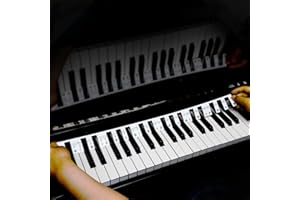 HMPBEFU Colorful Removable Piano Keyboard Note Labels, Silicone Piano Notes Stickers Guide for Beginner, Reusable 88 Key Full Size Piano Key Music Notes Letter Label