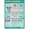 Daydream Education Classification of Living Organisms Classroom Poster - EXTRA LARGE 33” x 23.5” - Gloss Paper - STEM Middle & High School Class Decoration - Wall Charts