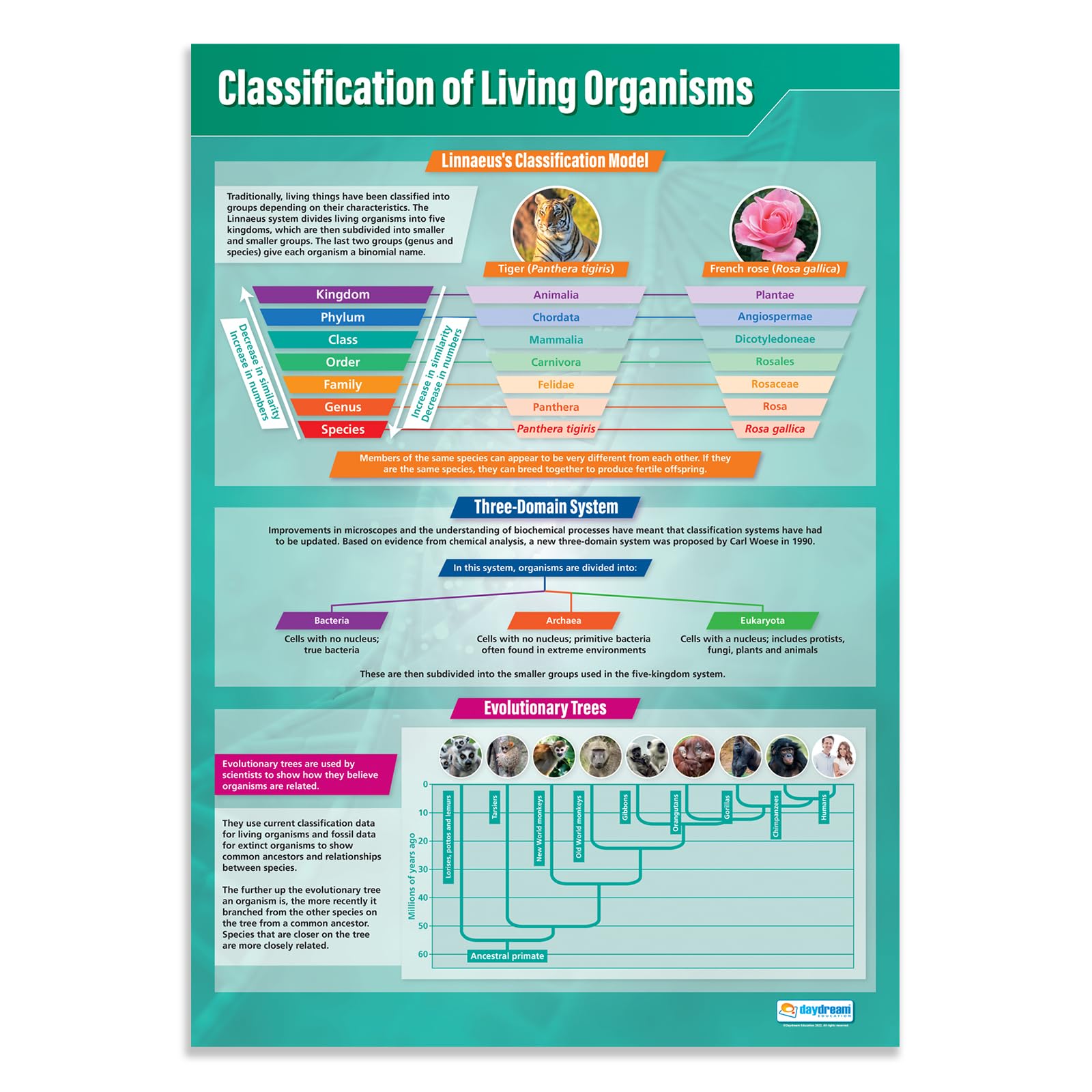 Daydream Education Classification of Living Organisms | Science Posters | Gloss Paper measuring 850mm x 594mm (A1) | Science Charts for the Classroom | Education Charts