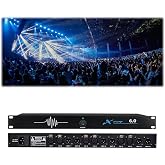 RQG Professional Feedback Suppressor, 6-in and 6-Out Microphone Anti-Howl Feedback Eliminator, 5-Level Digital Anti-Squealing, 12 Segments High Fidelity Retention, Perfect Sound Effects（Blue）