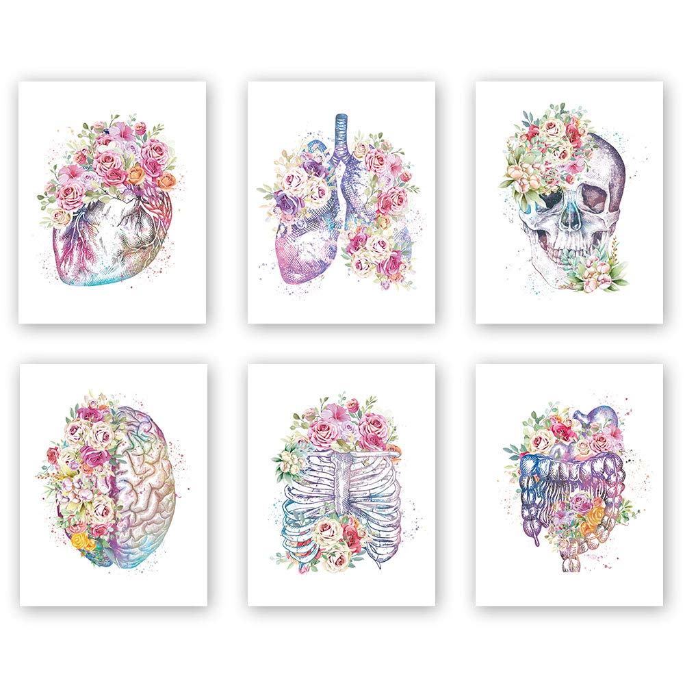 CHDITB Unframed Flowers Skeletal Wallpaper, Human Organs Art Printing, Body Anatomy Art Posters Abstract Anatomy Viscera Skull Wall Decor, Medical Wall Art For Clinic -Set Of 6 (8" x 10")