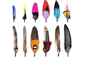 Daieeparty Hat Feathers 12PCS Colorful Natural Craft Feather for Cowboy Hat Fedoras Trilby Hats Panama Hat DIY Costumes Decorations