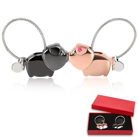 title=Foonii 1 Paio Carino Portachiavi Coppia , Magnetico Staccabile Auto Portachiavi