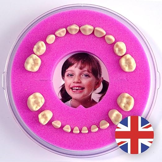 Amazon.com: Firsty - Caja redonda de dientes para bebé (chico, chico) ABF inglés, Moderno diseño, Rosado: Baby